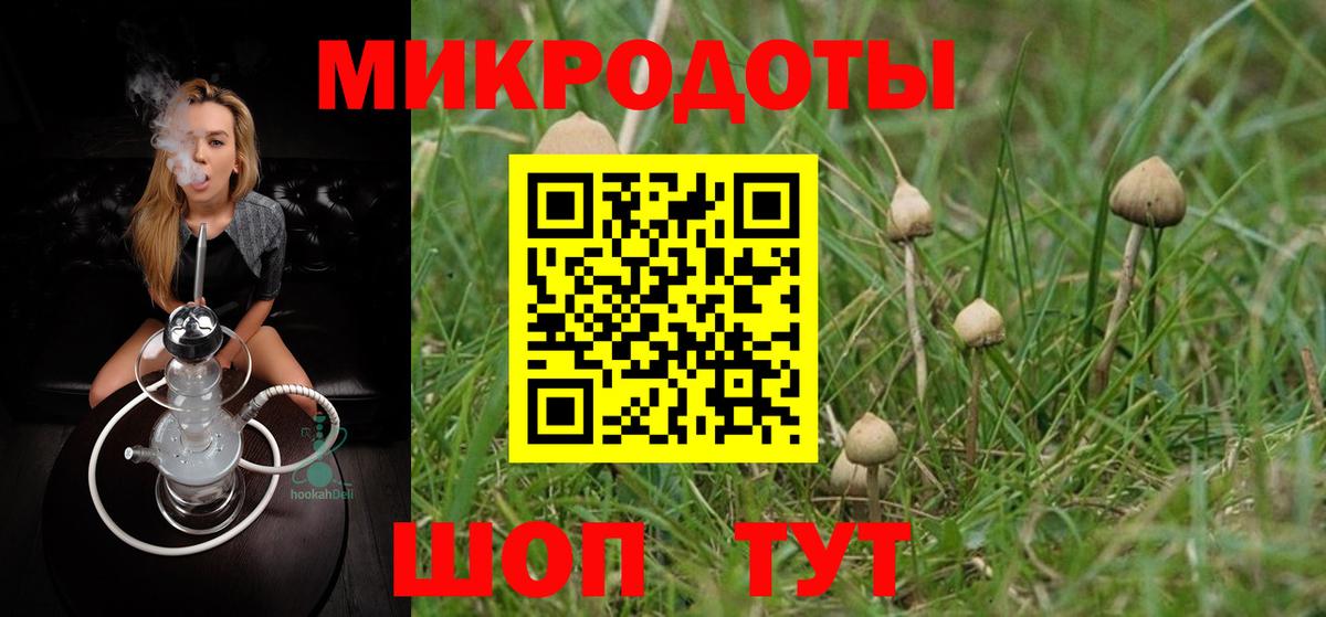 Галлюциногенные грибы прущие грибы Янаул