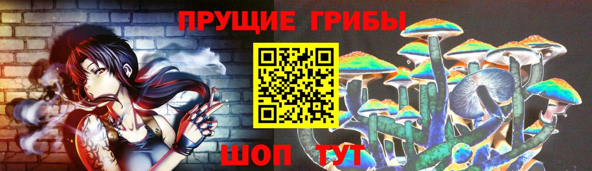 Янаул  Псилоцибиновые грибы Magic Shrooms  закладки  Вход с VPN 